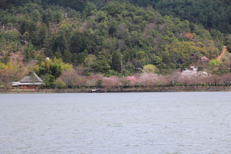 広沢の池_003.jpg