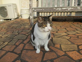 IMG_1048ss.jpg