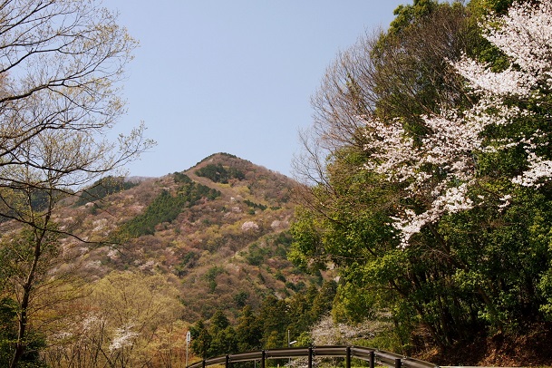 3.晃石山を望.JPG