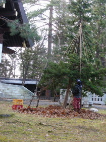 11-11yukituri (1).JPG