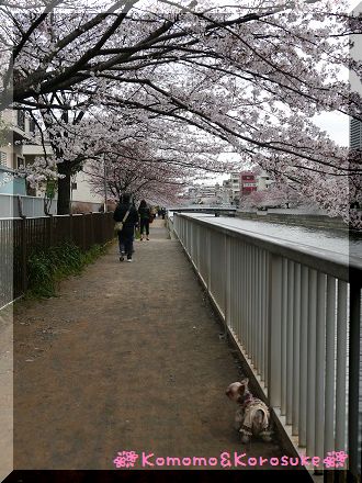 P1090720.jpg
