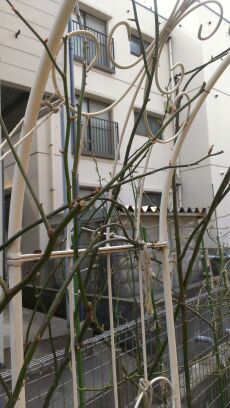 rblog-20140318161028-02.jpg