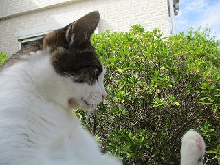 IMG_1263ss.jpg