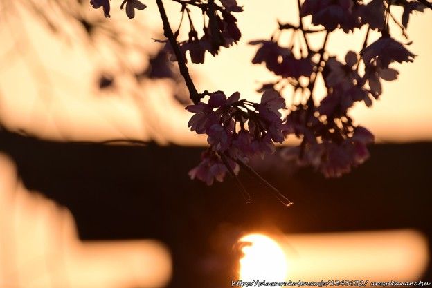 ラウンデイ・ガーデン・シーン:映画史上忘れ去られた最初の映画