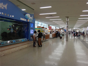 沖縄26.jpg