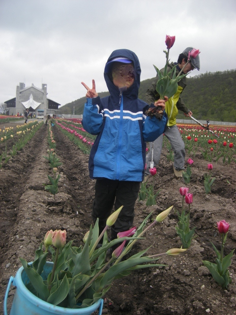 IMGP0112 (480x640).jpg