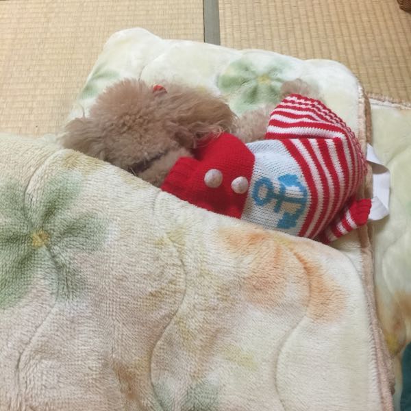 rblog-20161125232744-02.jpg