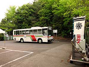 IMG_2510.jpg