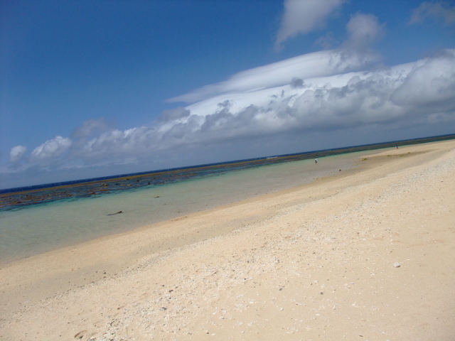DSCF1241.JPG