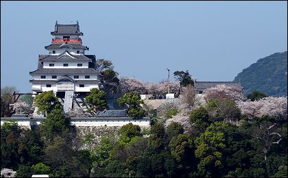 唐津城の桜140401