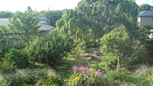 rblog-20170720084209-00.jpg