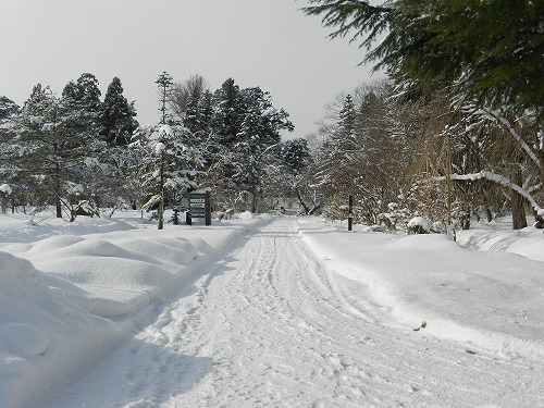 DSCN9712.jpg