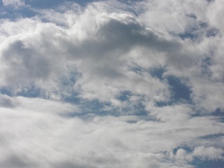 20150818-1.jpg