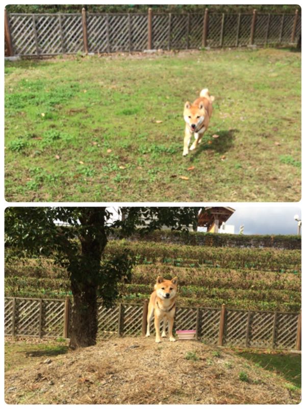 rblog-20151115225707-01.jpg