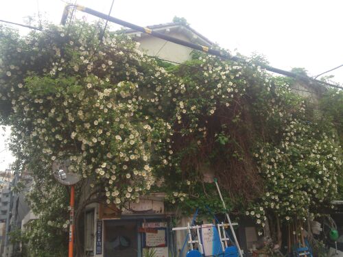 rblog-20140501073259-00.jpg