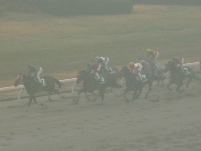 P1040740 (400x301).jpg