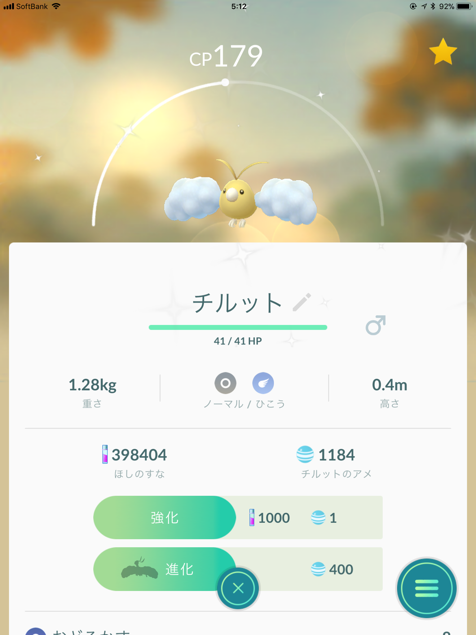 ポケモンgoで金色のチルットをゲット 石の王国 楽天ブログ