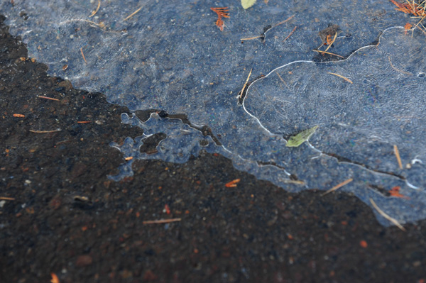 DSC_1573.jpg