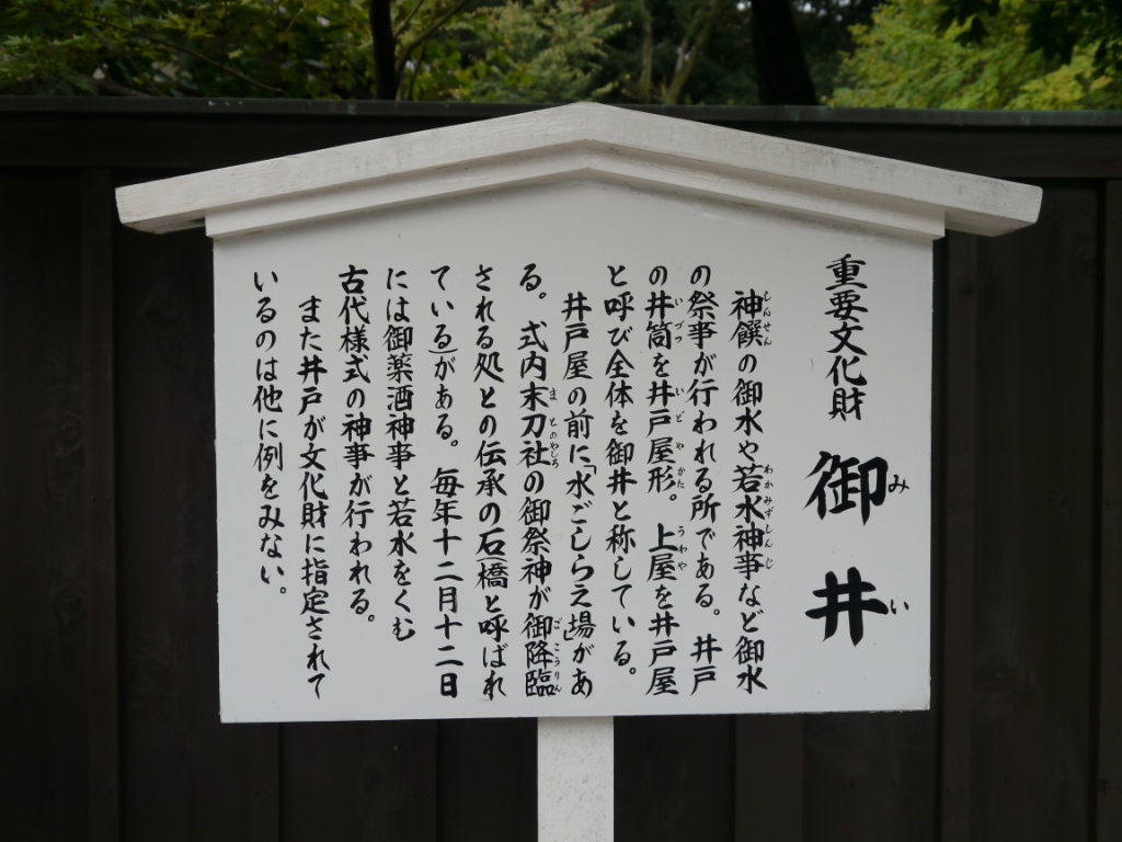 P1090082.JPG