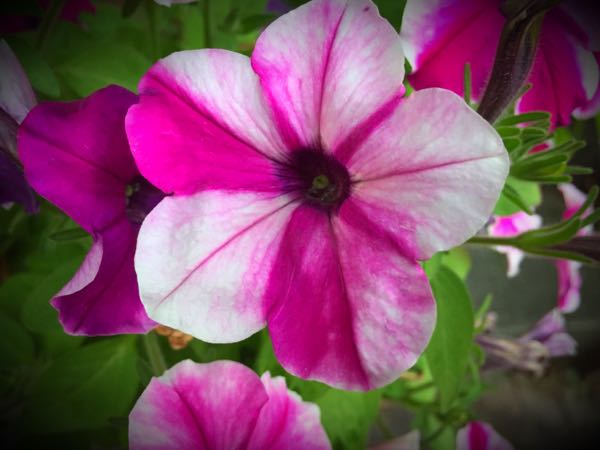 rblog-20150728202710-02.jpg