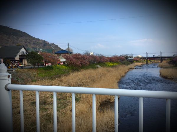 rblog-20160304152541-01.jpg