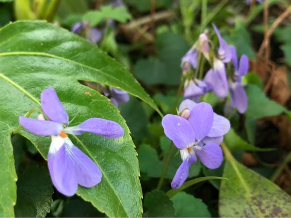 rblog-20180324163323-00.jpg