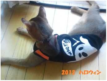 2012ハロウィン3
