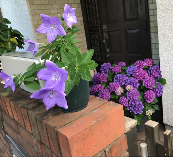 rblog-20180624181305-03.jpg