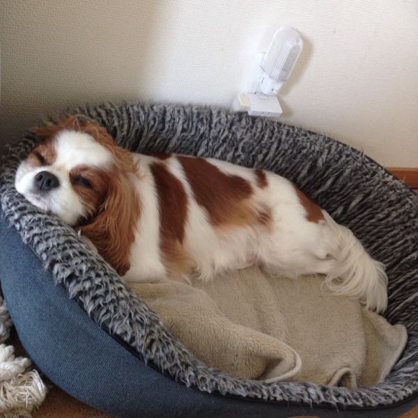 rblog-20151119174020-01.jpg