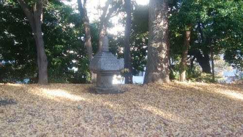 rblog-20171218220602-00.jpg