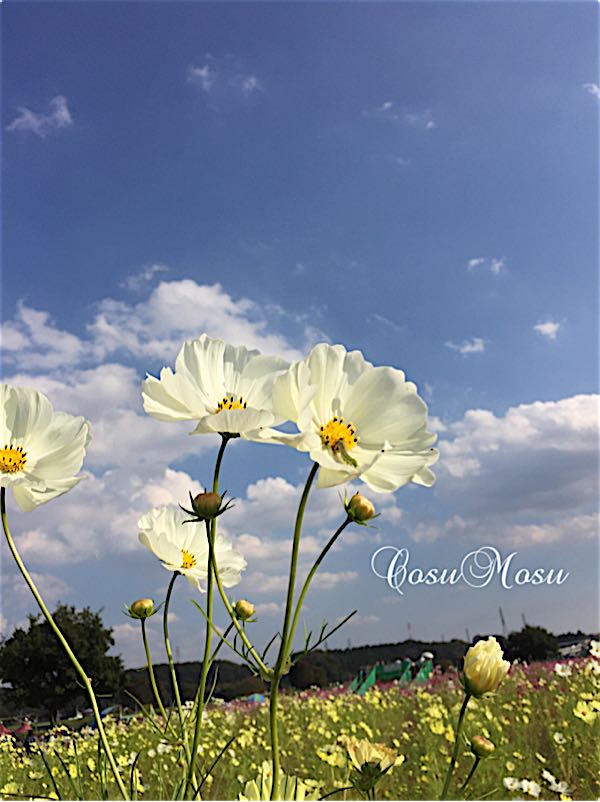 rblog-20151013183427-04.jpg