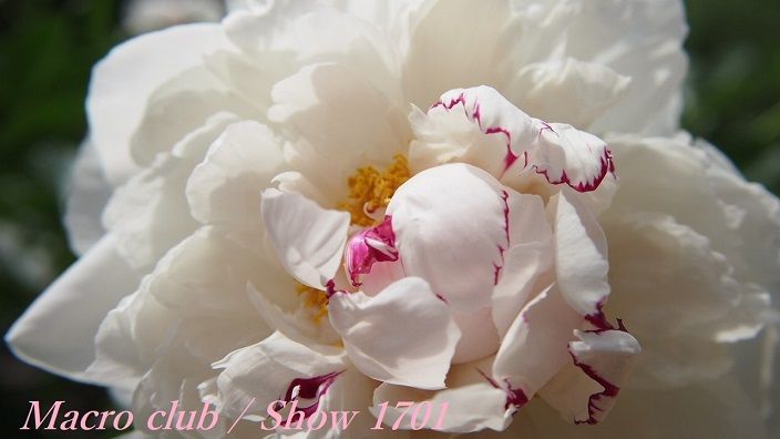 ディナー・イン・ザ・スカイ:高さ50メートルのディナー