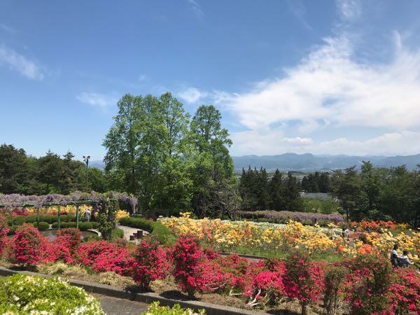 rblog-20170519112607-04.jpg