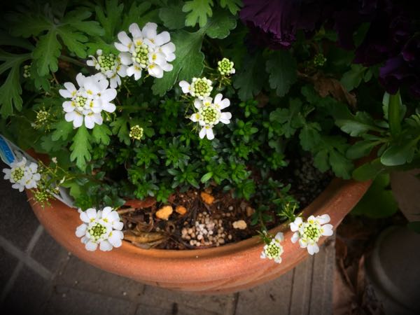 rblog-20160331165718-08.jpg