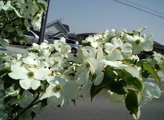 20120429d