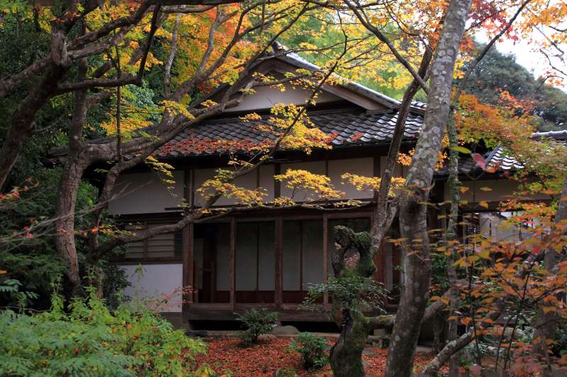 常寂光寺_004.jpg