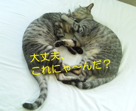 20120909_2.jpg