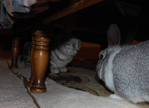 DSC_0116.JPG