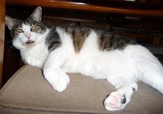 P1010766-ass.jpg