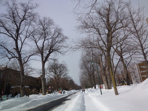 北海道大学