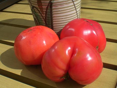 トマト