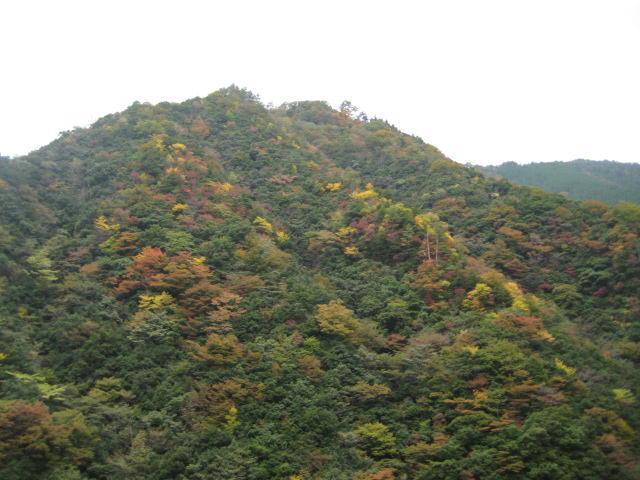 IMG_9816.JPG