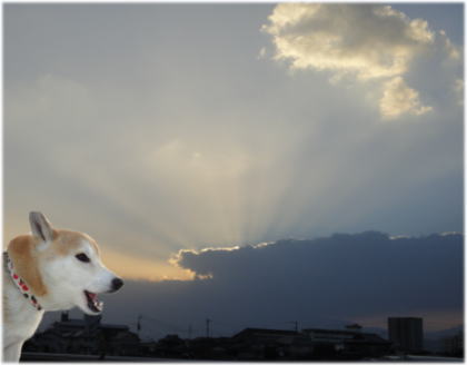 0101朝4.jpg