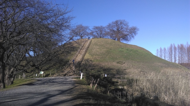 さきたま古墳公園（円山古墳）