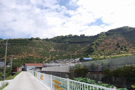 s-DSC_0427.jpg