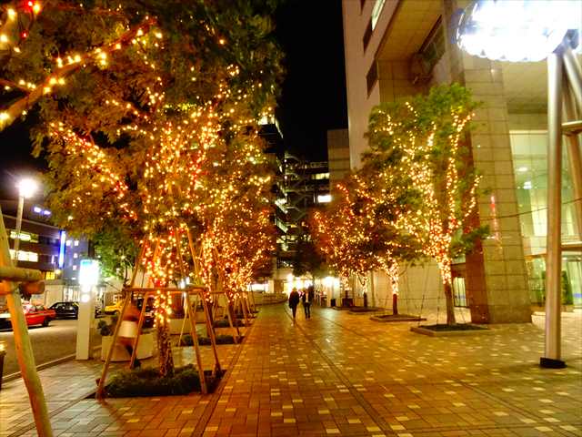 DSC08872_R.JPG