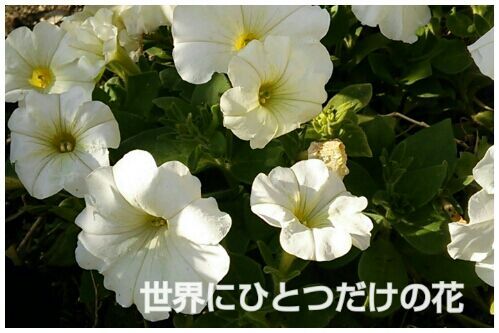 rblog-20161115202921-00.jpg
