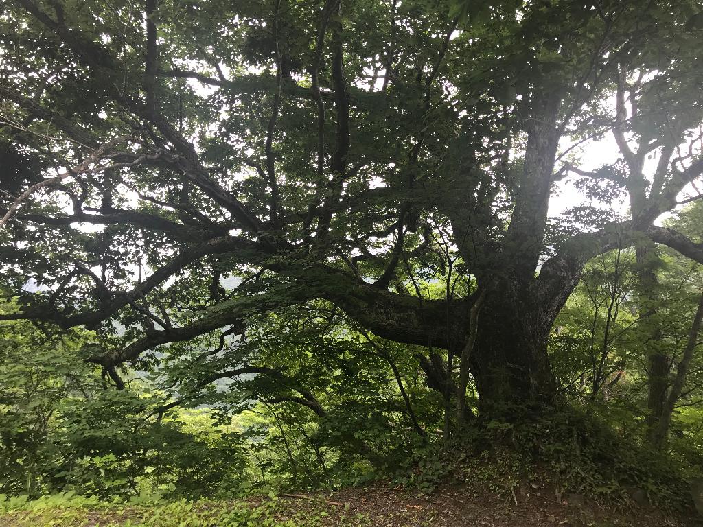 シリーズ東北の山（2）会津駒ヶ岳（あいづこまがたけ・2133m）福島県桧枝岐村（前編） | 醍醐山と下部（しもべ）温泉 - 楽天ブログ
