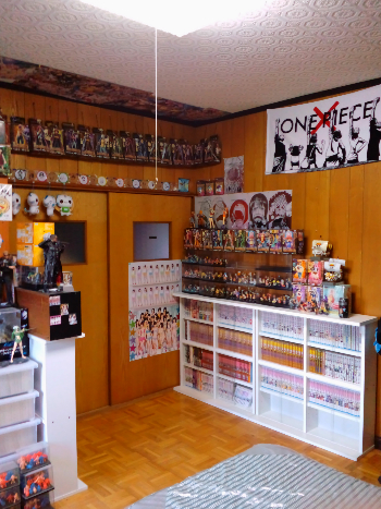 コレクションルーム兼自分の部屋