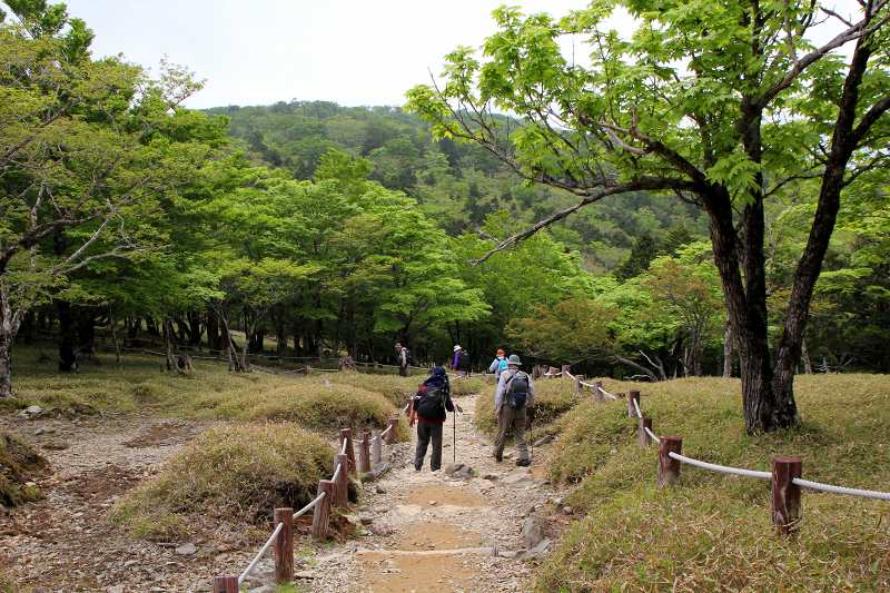 大台ケ原_2-2.jpg